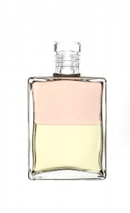 Inner Alchemy Clear Lid A11