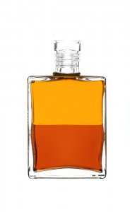 Inner Alchemy Clear Lid A02