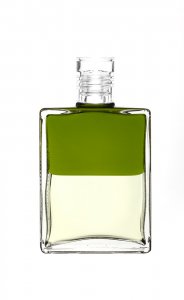 Inner Alchemy Clear Lid A04