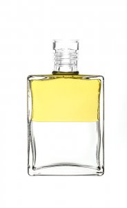 Inner Alchemy Clear Lid A05